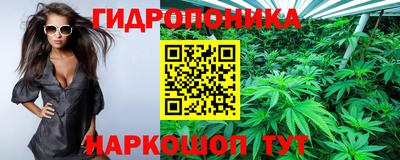 крисы Мариинск