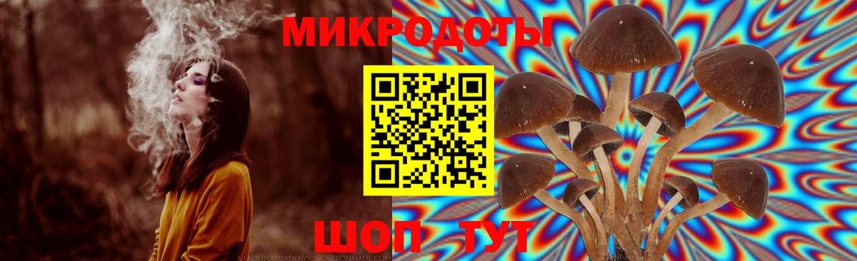 Псилоцибиновые грибы прущие грибы Узловая